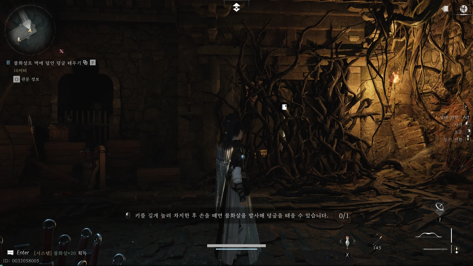 좌측에 덩쿨로 길이 막혀있는 모습